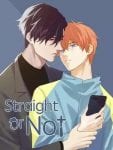 Straight or Not (6)