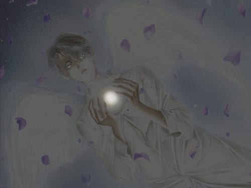 angel - La Fallen Angel - 800 x 600 