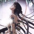 ghost in the shell (7)