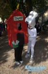 Snoopy e la sua cuccia!